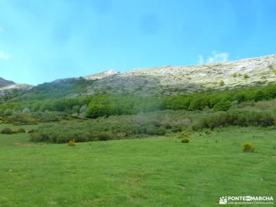 Montaña Palentina-Fuentes Carrionas;pueblos madrid ofertas viajes fin de semana salinas de imon rio